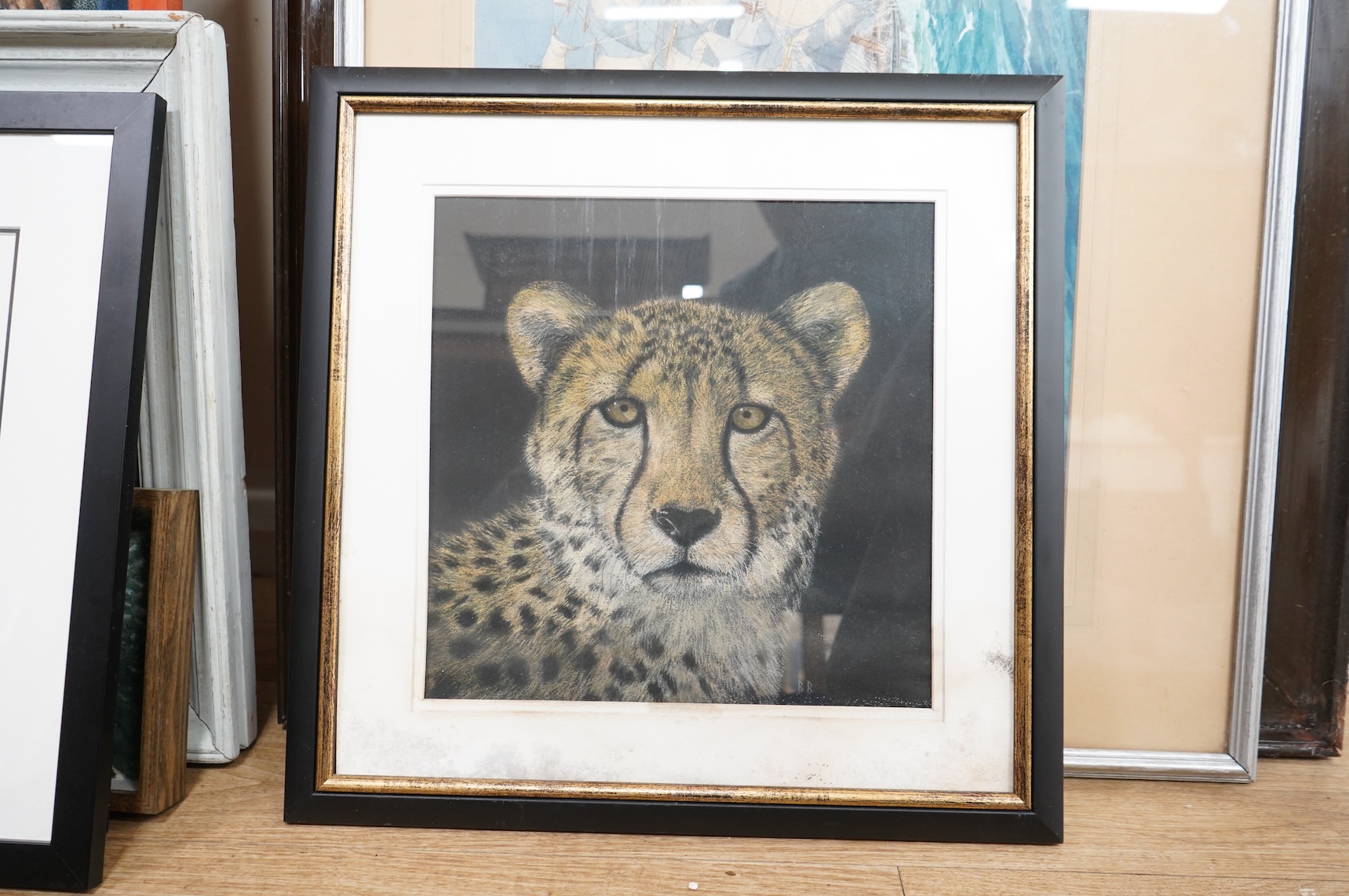 Kevin Mullins, Study of a Serval, watercolour on paper, monogrammed together with three other studies of big cats to include one by V. Beecham and one initialled BB, largest 36 x 19cm